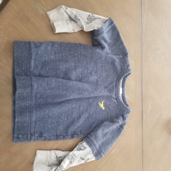 Carter's Other - 🦄 Carter’s / 4/5 / Boys Dino Sweatshirt